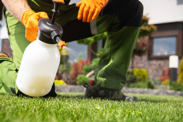 Best Commercial Pest Control Services  in Fennimore, WI