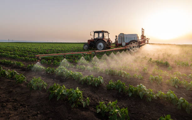 Best Ant Control Services  in Fennimore, WI